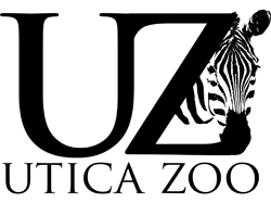 Monkey See Monkey Do The Utica Zoo and BB Designs Can t Wait To